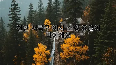천안 서북구 이사? 소형 용달이 딱이에요!